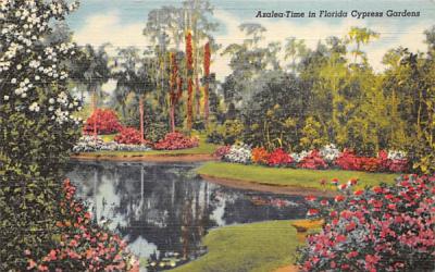 Azalea-Time in FL Cypress Gardens, USA Florida Postcard