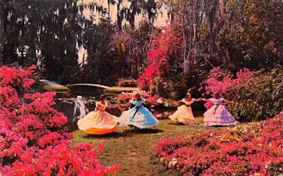 Happy Times in a Florida Garden, USA Postcard