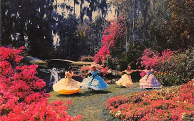 Happy Times in a Florida Garden, USA Postcard