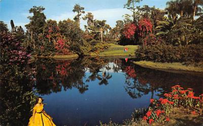 Blossom Time Cypress Gardens, Florida Postcard