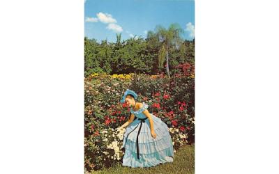 background of multicolored flowers Cypress Gardens, Florida Postcard