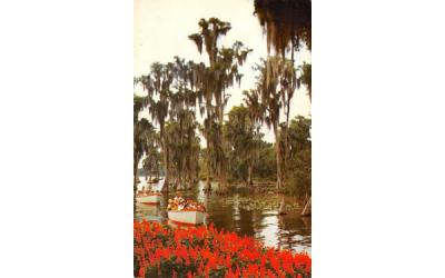 Sightseeing Boats  Cypress Gardens, Florida Postcard