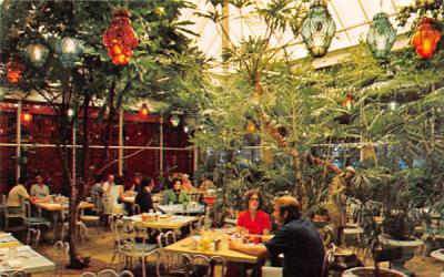 Patio Dinind Amid a Tropical Indoor Garden Clearwater, Florida Postcard