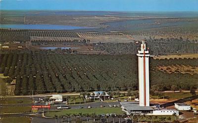 Aerial View Citrus Tower Clermont, Florida Postcard