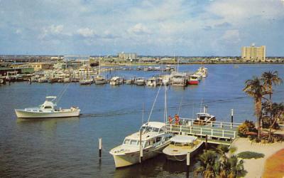 The Marina and Yacht Basin  Clearwater, Florida Postcard