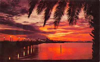 One of Florida's Most Spectacular Sights  Postcard