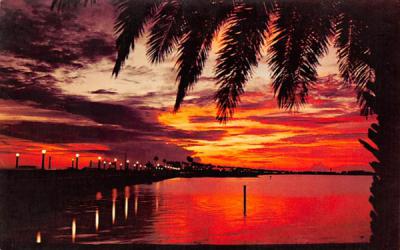 One of Florida's Most Spectacular Sights Postcard