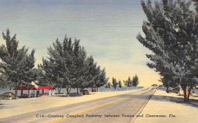 Between Tampa and Clearwater Florida Postcard