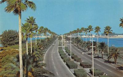 Clearwater's magnificent Memorial Causeway Clearwater Beach, Florida Postcard