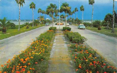 Flowerlined causeway Clearwater, Florida Postcard