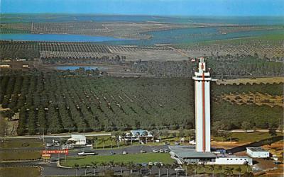 Aerial View Citrus Tower Clermont, Florida Postcard