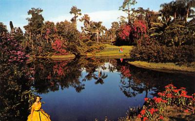 Blossom Time Cypress Gardens, Florida Postcard