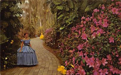 Flowers are Everywhere along the Winding Paths Cypress Gardens, Florida Postcard