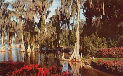 Cypress trees grow far out in waters of Lake Eloise Cypress Gardens, Florida Postcard