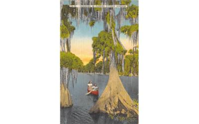 Canoeing in Florida Cypress Gardens, USA Postcard