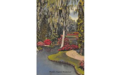 Florida's Tropical Wonderland, USA Postcard
