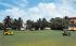 Biltmore Golf Course Coral Gables, Florida Postcard