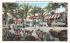 Coral Gables Golf & Country Club Florida Postcard