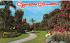 Cypress Gardens Cyress Gardens, Florida Postcard