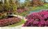Blossom time at Florida's Cypress Gardens Postcard