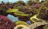 reflection lagoon Azaleas and flowering Cypress Gardens, Florida Postcard
