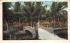 Swastika, The Matheson Estate Coconut Grove, Florida Postcard
