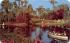 America's Tropical Wonderland Cypress Gardens, Florida Postcard