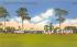 Clearwater Country Club Florida Postcard