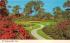 It's Bougainvillea Time Cypress Gardens, Florida Postcard