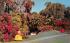 Cypress Gardens Florida's Tropical Wonderland, USA Postcard
