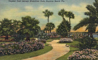 Tropical Trail - Daytona Beach, Florida FL Postcard