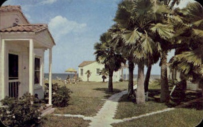 Florida Shores - Daytona Beach Postcard