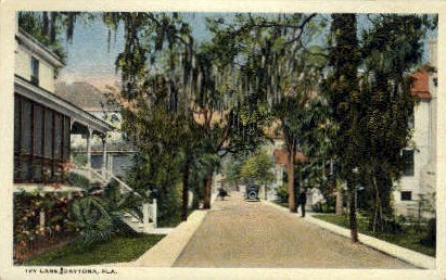 Ivy Lane - Daytona Beach, Florida FL Postcard