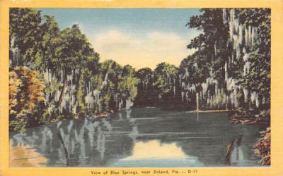 Near Deland, View of Blue Springs De Land, Florida Postcard