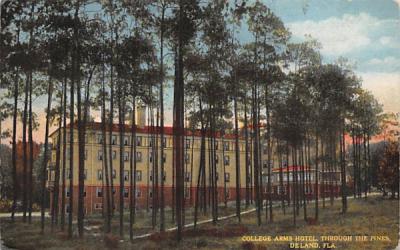 College Arms Hotel, Through the Pines De Land, Florida Postcard