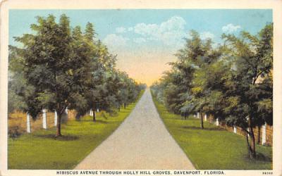 Hibiscus Avenue Through Holly Hill Groves Davenport, Florida Postcard