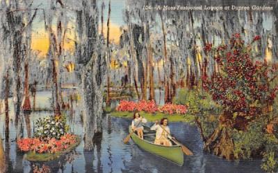 A Moss - Festooned Lagoon Dupree Gardens, Florida Postcard