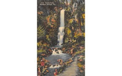 Scenic Falls Dunnellon, Florida Postcard