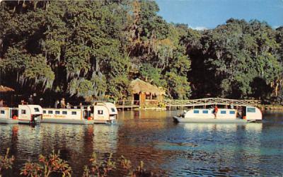 Near Dunnellon, Scenic submarine boat trips Florida Postcard