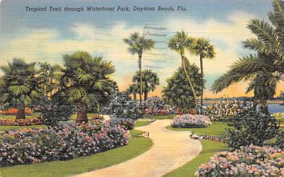 Tropical Trail through Waterfront Park Daytona Beach, Florida Postcard