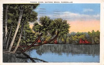 Tomoka River Daytona Beach, Florida Postcard