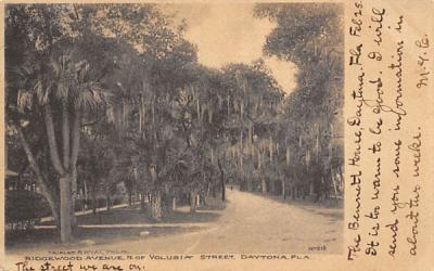 Ridgewood Avenue, N. of Volusia Street Daytona, Florida Postcard
