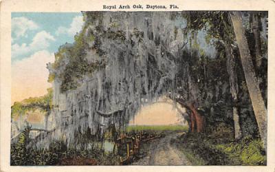 Royal Arch Oak Daytona, Florida Postcard