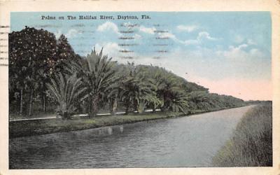 Palms on The Halifax River Daytona, Florida Postcard