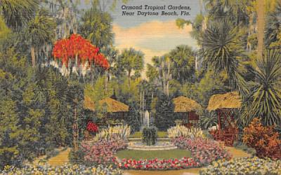 Near Daytona Beach, Ormond Tropical Garden Florida Postcard