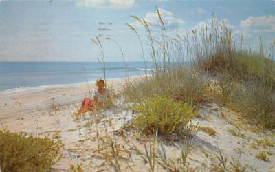 Wild Sea Oats and Beautiful Sand Dunes Daytona Beach, Florida Postcard