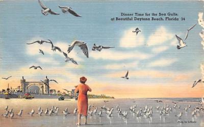 Dinner Time for the Sea Gulls Daytona Beach, Florida Postcard