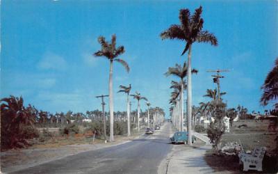 East Atlantic Avenue Delray Beach, Florida Postcard