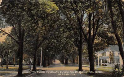 North Woodland Boulevard in Residential Section De Land, Florida Postcard
