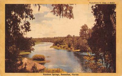 Rainbow Springs Dunnellon, Florida Postcard